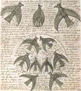 Johann Knopf - Kleinbild 1